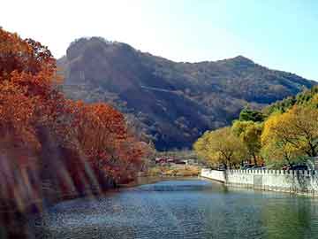 數(shù)字迷蹤：老張的免費(fèi)新奧彩提供奇遇與理性邊界