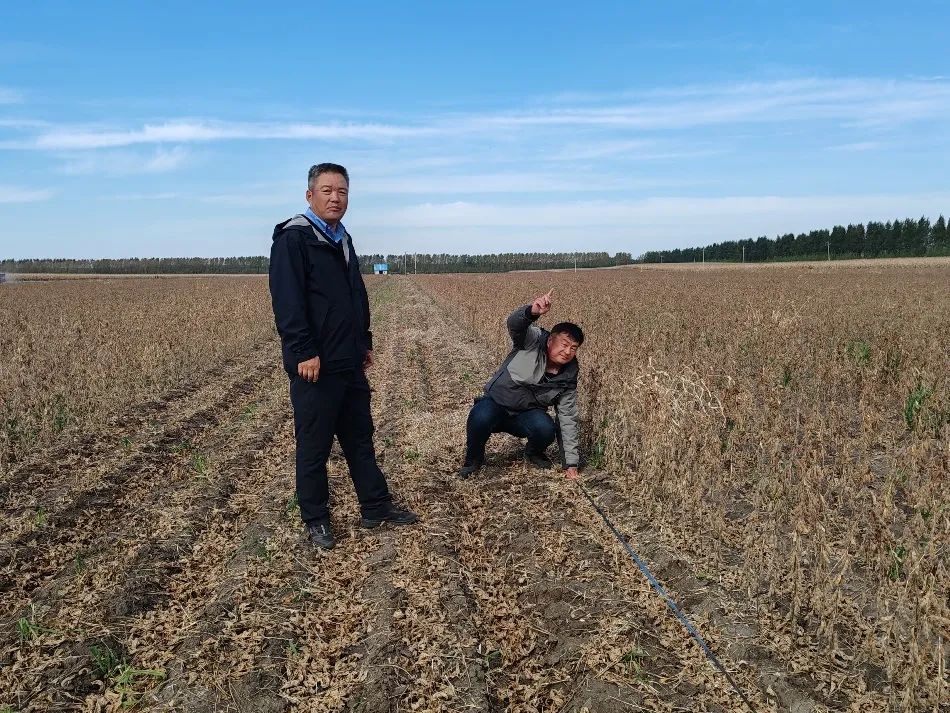 茶館奇遇:解碼‘白小姐一肖一特一中今天開獎’背后的社會鏡像