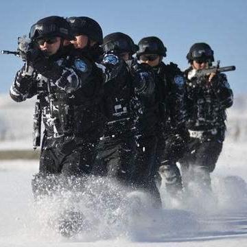 中國人民武裝警察部隊(duì)特種警察學(xué)院簡介:深度解析中國反恐精英的搖籃