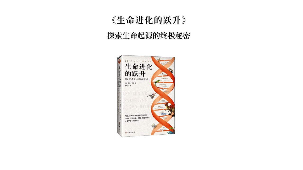 探秘數(shù)字邊境:77777788888王中王與未來社會的深層博弈