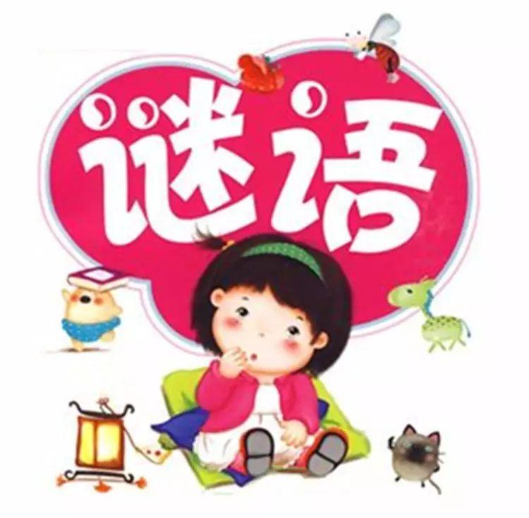 葡京巷陌奇遇:破解新澳門天天免費精準大全謎語的文化回響