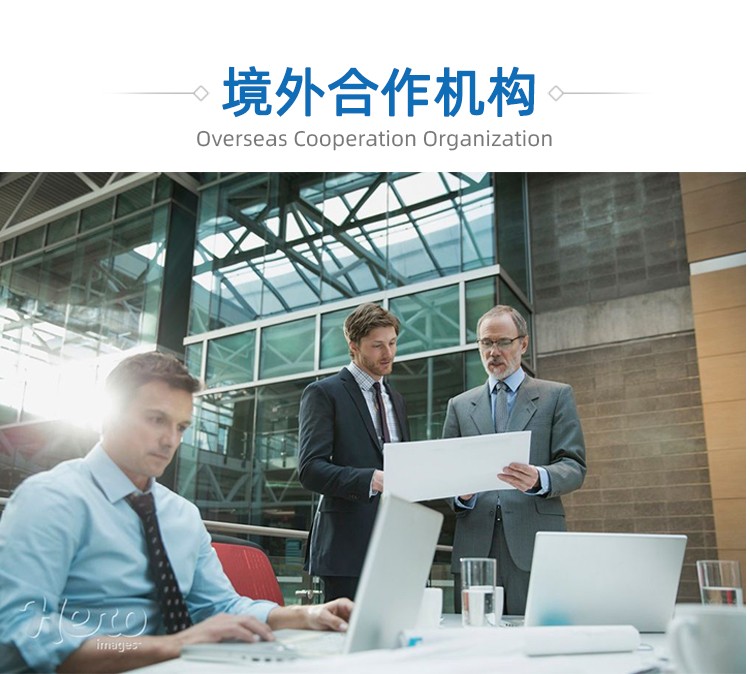 新奧天天全年免費大全:一場跨越數(shù)字邊界的奇遇與思辨