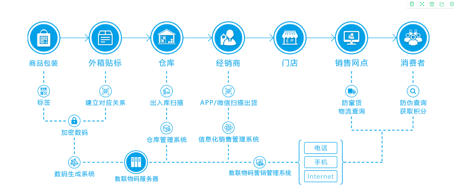時空回廊的啟示：探尋王中王493333中特大全的智慧邊界