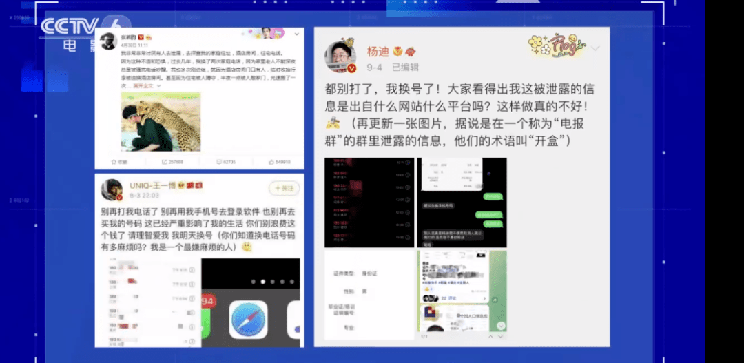 深度解析：趙子琪的爺爺是誰？探究公眾人物家庭信息背后的隱私與求知欲