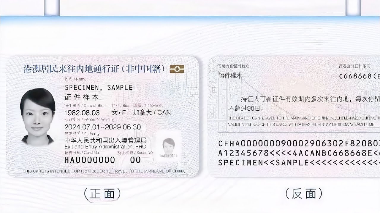 邊境奇遇:當澳門一肖一特一中管家遇見數(shù)據(jù)智慧