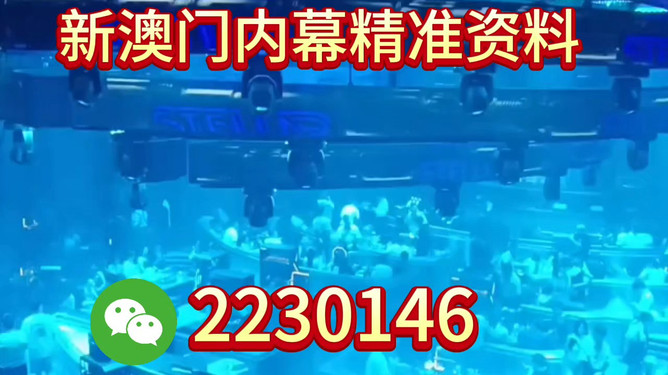 新奧2025今晚開獎(jiǎng)資料詳解，新奧2025今晚開獎(jiǎng)資料全面解析