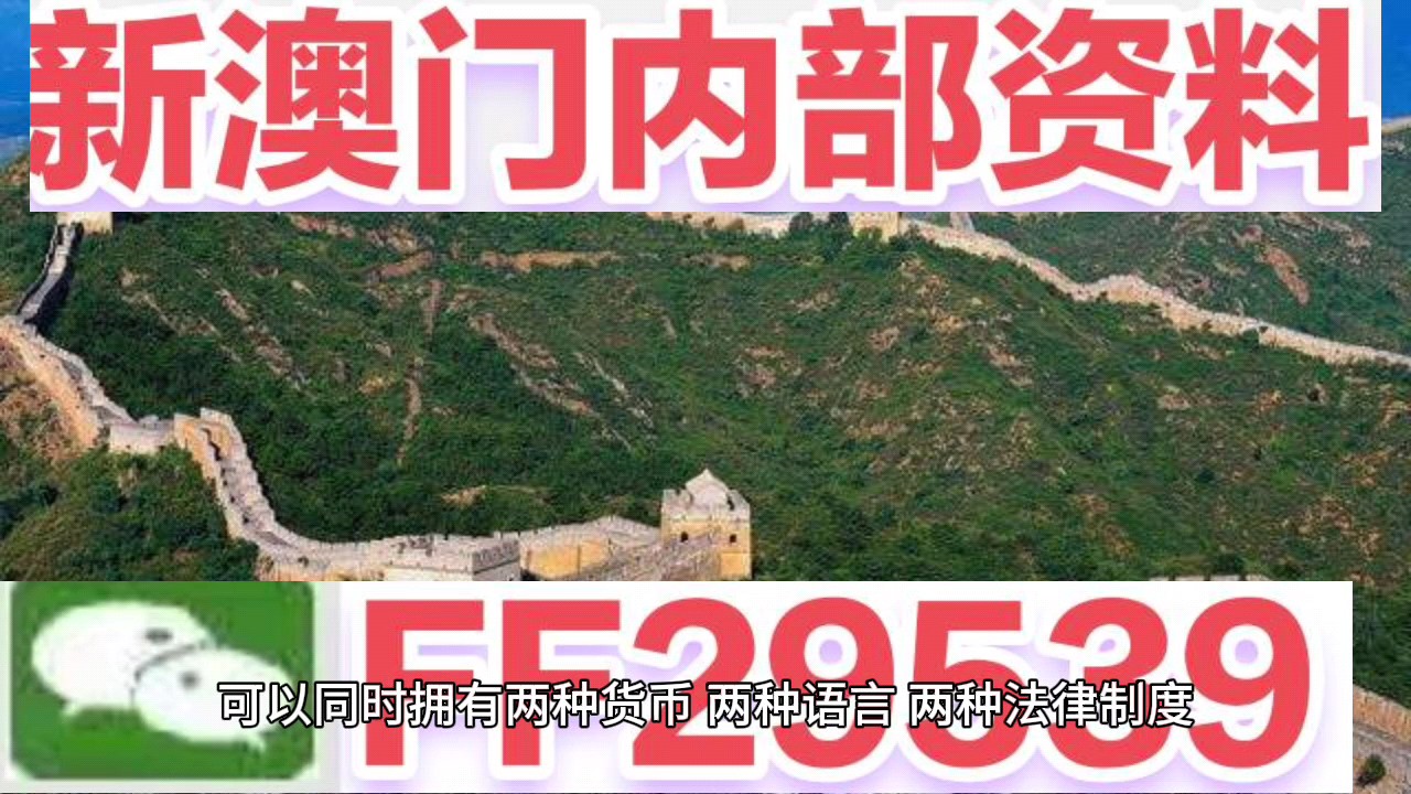 新澳門今晚開獎結(jié)果號碼查詢表，探索彩票世界的神秘面紗，新澳門今晚開獎結(jié)果號碼查詢表，揭開彩票世界的神秘面紗