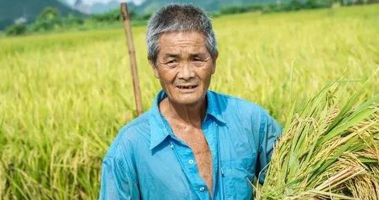 白小姐精準免費四肖深度解析:透視其信息價值與用戶指南